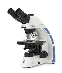 Microscope